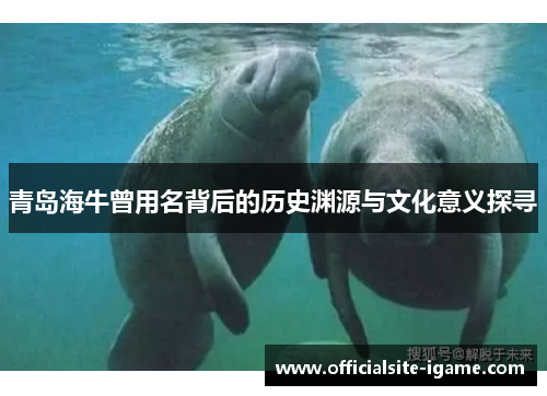 青岛海牛曾用名背后的历史渊源与文化意义探寻